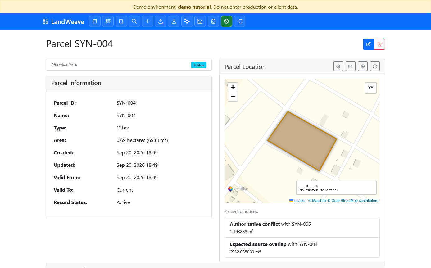 Parcel detail for the Editor